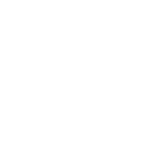 bpi-300x300
